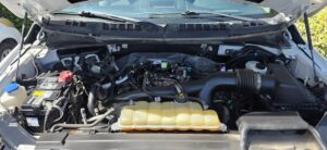 2019 Ford F150 Regular Cab XL Pickup 2D 8 ft ESTO8032