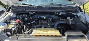 2019 Ford F150 Regular Cab XL Pickup 2D 8 ft ESTO8032
