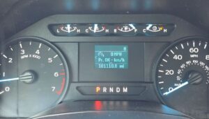 2019 Ford F150 Regular Cab XL Pickup 2D 8 ft ESTO8032
