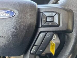 2019 Ford F150 Regular Cab XL Pickup 2D 8 ft ESTO8032