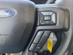 2019 Ford F150 Regular Cab XL Pickup 2D 8 ft ESTO8032