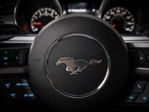 2016 Ford Mustang EcoBoost Coupe 2D ESTO8986