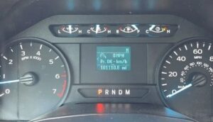 2019 Ford F150 Regular Cab XL Pickup 2D 8 ft ESTO8032